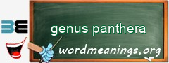 WordMeaning blackboard for genus panthera